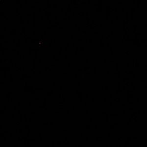 Meet your Posher, Kenny